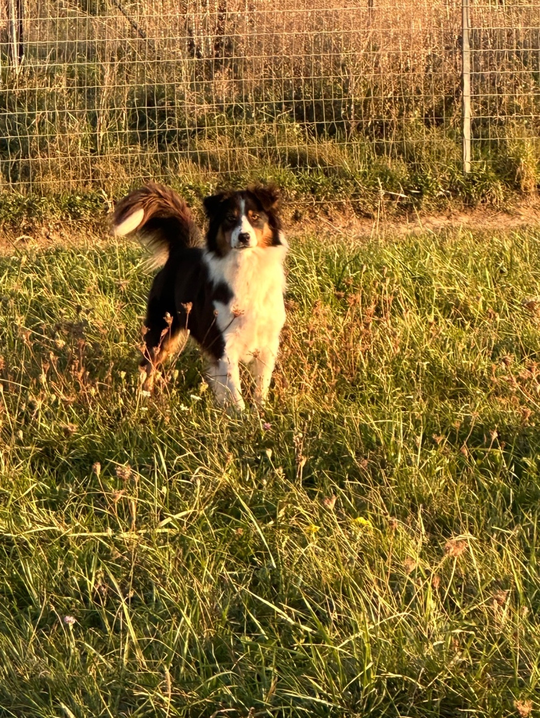 Una love De La Truffe Royale