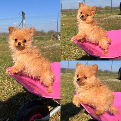 Aby